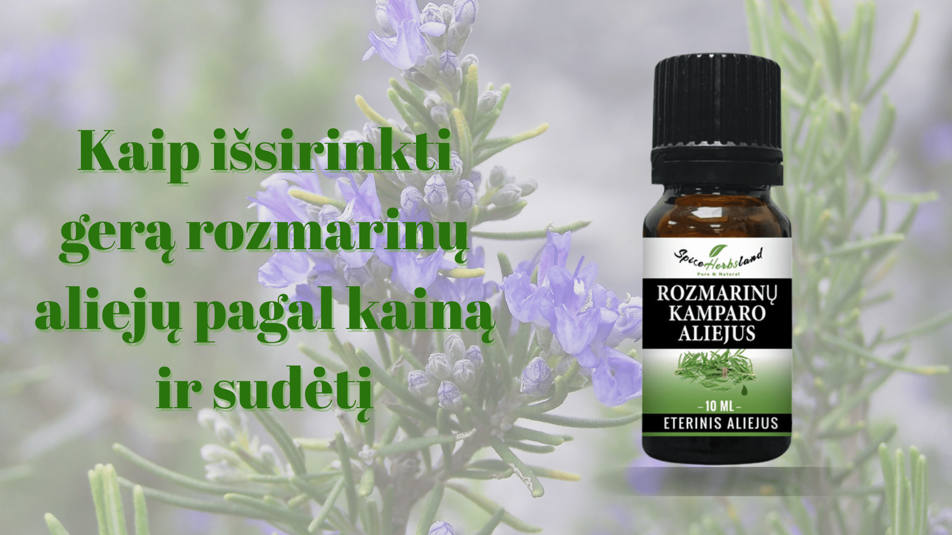 Kaip išsirinkti gerą rozmarinų aliejų pagal kainą ir sudėtį