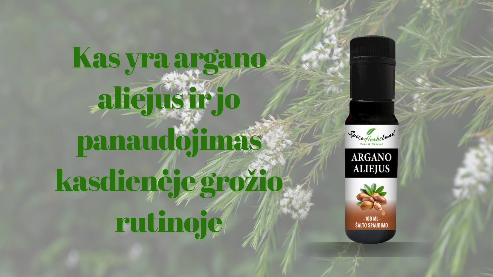 Kas yra argano aliejus ir jo panaudojimas kasdienėje grožio rutinoje