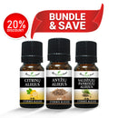 Virškinimo gerinimo priemonės – 3 vnt. pakuotė